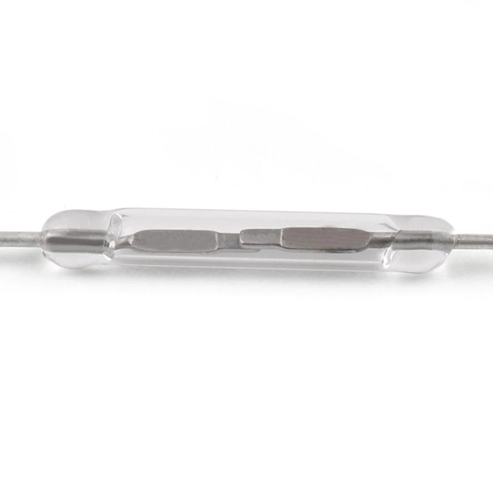 10 Stück DIY magnetische Reed- – Diy Electronic Components Bewertung und Preis